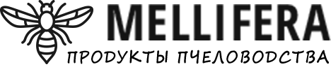 logo main